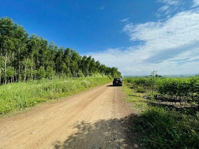 Bán đất mặt tiền đường xã Sông Phan, huyện Hàm Tân, Bình Thuận