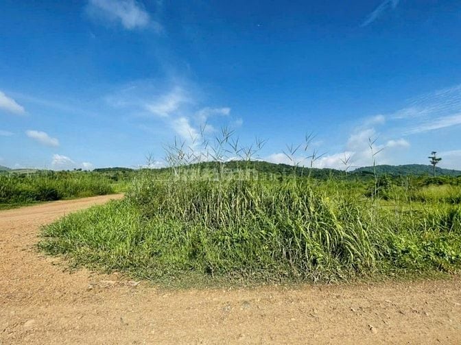 Bán đất mặt tiền đường xã Sông Phan, huyện Hàm Tân, Bình Thuận