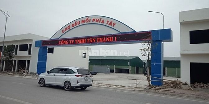 Chính chủ, bán đất biệt thự Đông Sơn, Thanh Hóa, 180m2, view hồ, 2,5ty