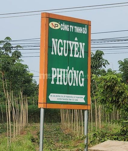 BÁN LÔ ĐẤT : MẶT TIỀN NG CHÍ THANH (DT 795), TN, 7x57m gần Coopmart