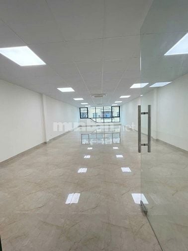 Bán tòa nhà khu Nguyễn Cơ Thạch. Dt 110m2, 8 tầng, MT 6m. Thang máy