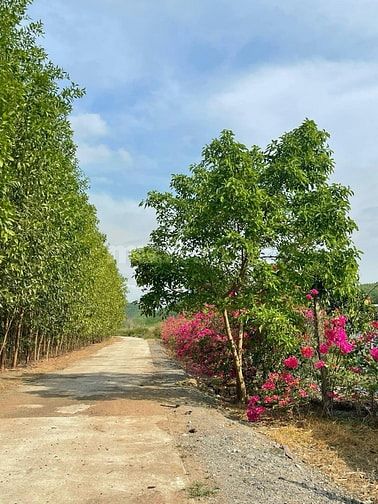 Đất nền khu du lịch Hồ Láng Nhớt Nha Trang