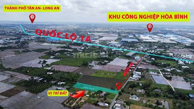 Bán 550 m2 đất thổ cư, tặng 1.000 m2 lúa đường nhựa Tân Trụ, Long An