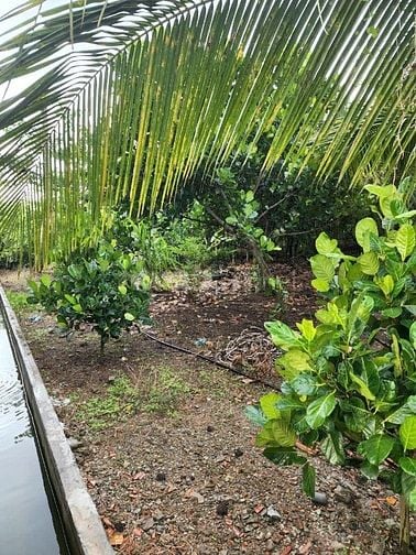 Bán 1.3 hec ta đất xã Xuân Tây huyện Cẩm Mỹ tỉnh Đồng Nai
