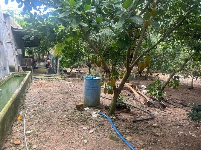Bán 1.3 hec ta đất xã Xuân Tây huyện Cẩm Mỹ tỉnh Đồng Nai