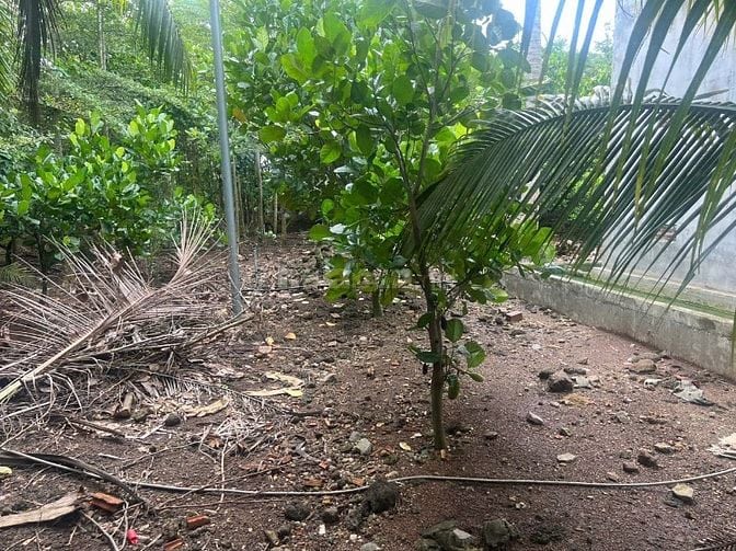 Bán 1.3 hec ta đất xã Xuân Tây huyện Cẩm Mỹ tỉnh Đồng Nai