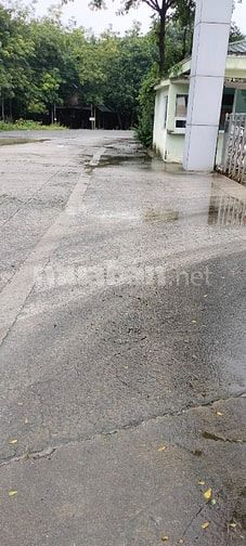 Bán Nhà xưởng + Văn phòng : Chánh Phú Hòa, Bến cát, Bình Dương