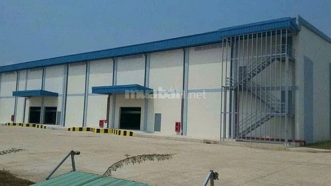 Cho thuê kho xưởng tại Bình Chánh-Vị trí đắc đại, giá tốt, dt:12.000m2