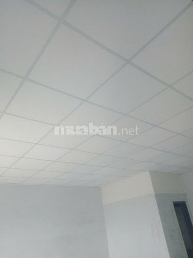 Cho thuê xưởng mặt tiền kênh A -Lê Minh Xuân-BC