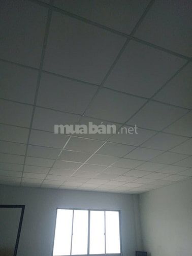 Cho thuê xưởng mặt tiền kênh A -Lê Minh Xuân-BC