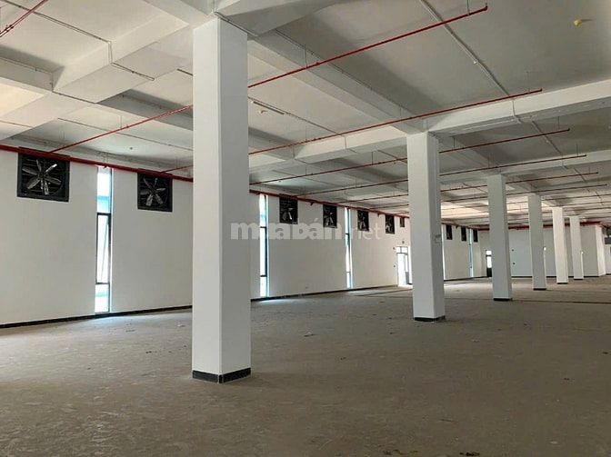 Cho thuê kho xưởng 1000m2; 5000m2; 15000m2 QL 1A, Linh Trung, Thủ Đức 