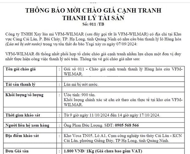 Bán lúa ướt do bão Yagi - Tháng 9 