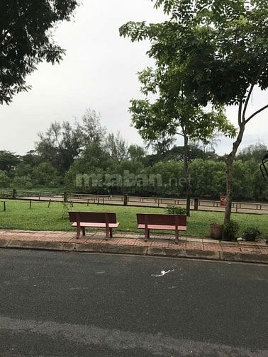  Bán Đất MT Thân Văn Nghiếp Sông Giồng Ông Tố Văn Minh An Phú Q2