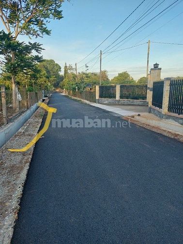 Bán gấp đất mặt tiền đường nhựa, xã Bàu Chinh, Châu Đức, BRVT, 20x69m