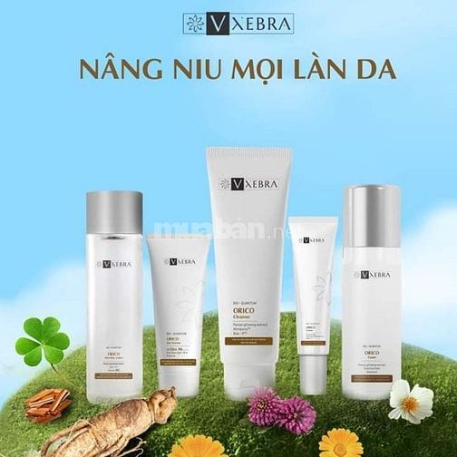 Trọn bộ mỹ phẩm cao cấp V Xera của công ty IMC 