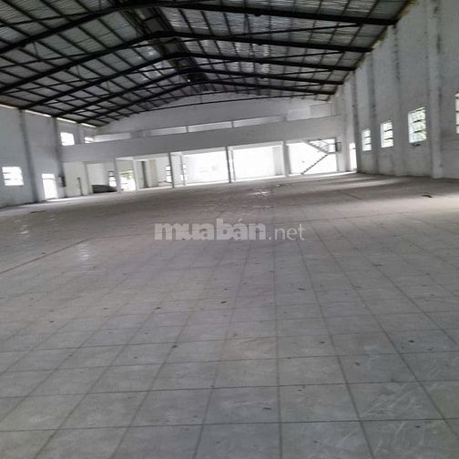 Cho thuê kho xưởng Nguyễn Hữu Trí, Long An,tdt:28.000m2,Xưởng:10.000m2