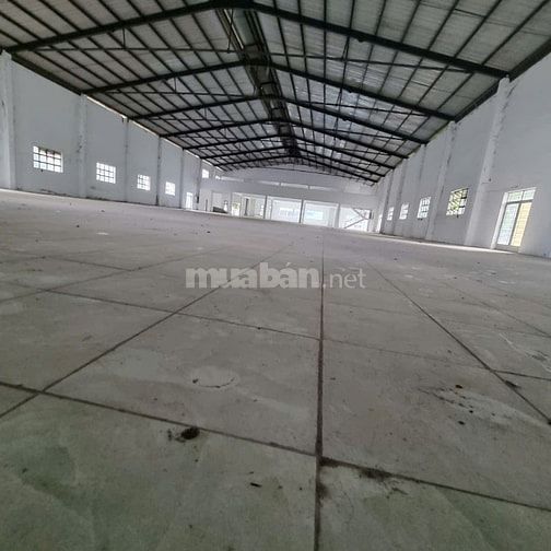 Cho thuê kho xưởng Nguyễn Hữu Trí, Long An,tdt:28.000m2,Xưởng:10.000m2