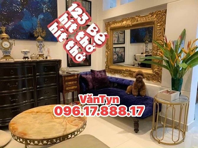 🌈 Q3 LÊ VĂN SỸ 45m2 .Kết Cấu Đẹp Sẵn Trệt 2Lầu Sân Thượng 