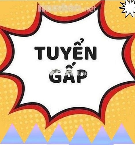 Tuyển gấp 8 nam/nữ lao động phổ thông ở quận Bình Tân 