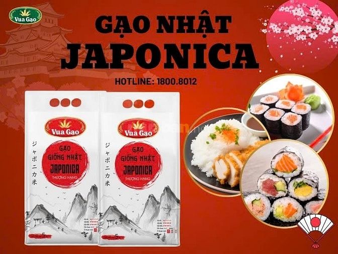 GẠO NHẬT JAPONICA GIAO TẬN NƠI MIỄN PHÍ