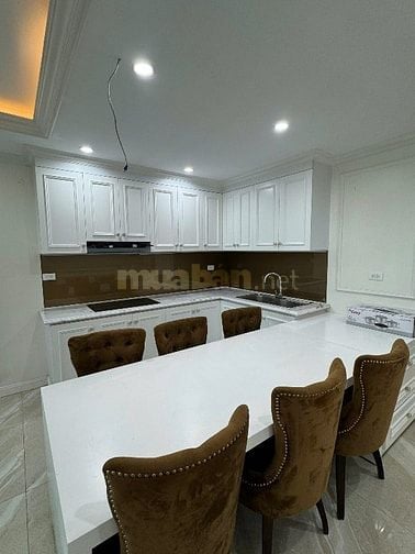 Chính chủ cho thuê căn hộ cc 2 ngủ 80m2