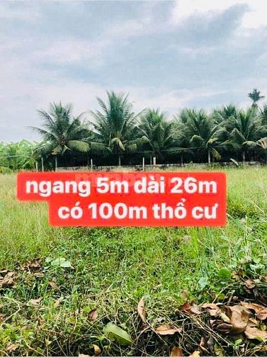 BÁN ĐẤT THỔ CƯ ĐƯỜNG Ô TÔ, LONG BÌNH ĐIỀN, CHỢ GẠO.