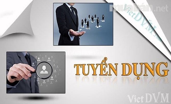 Tuyển gấp lao động làm việc tại khu vực TPHCM 