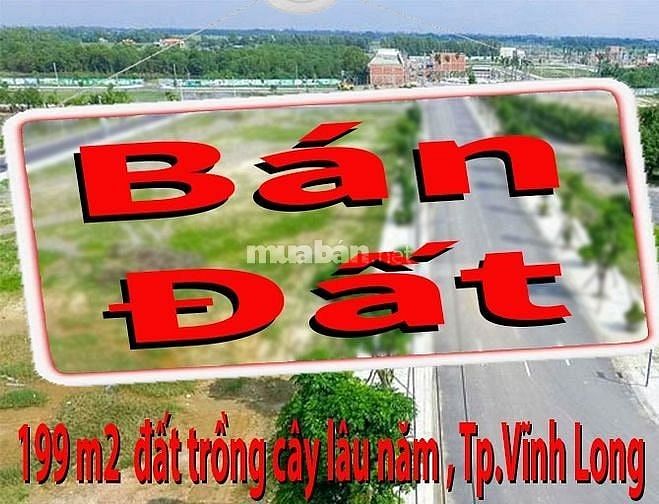 Bán gấp 199 m2 đất trồng cây lâu năm tại P.3 Thành Phố Vĩnh Long