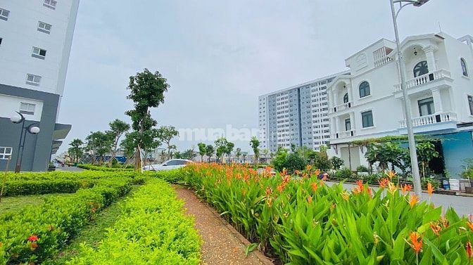 Bán CC Conic Boulevard, 84m2, giá 3,1 tỷ