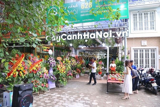 Chuyên viên Tư vấn Bán hàng Cty Hoa lan Cây Cảnh