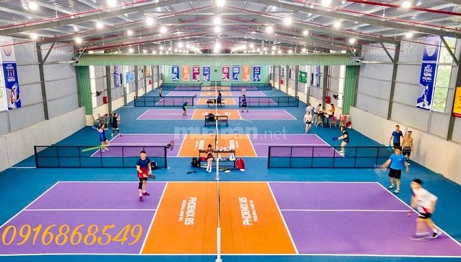 Tìm Đối Tác Thuê Đất Lớn Làm Pickleball, Cầu Lông, Bida…