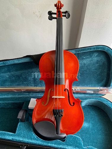 Violin size 4/4 cho người từ 13 tuổi trở lên