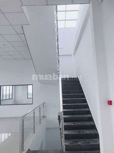 Nhà xưởng 5000 m2 KCN Hải sơn , Đức Hòa Long An