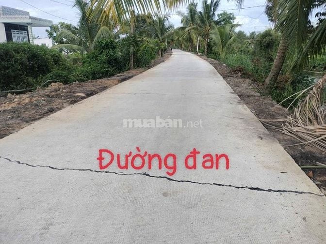 Cần bán gấp 2 Lô Đất vườn, xã Thạnh Lợi, Bến Lức, Long An