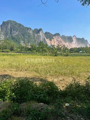 BÁN ĐẤU GIÁ 644M2 ĐẤT TẠI TRẦN PHÚ, CHƯƠNG MỸ, HÀ NỘI