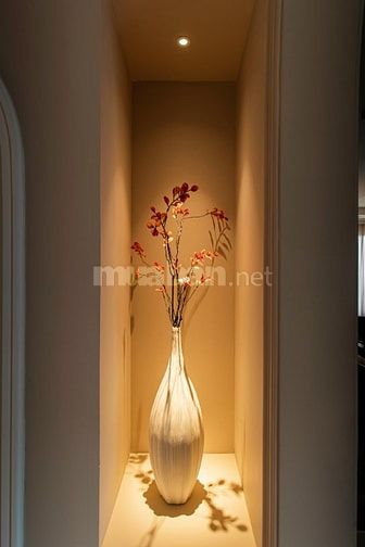 AURA LIGHTING - đáp ứng mọi nhu cầu chiếu sáng nội thất và ngoại thất