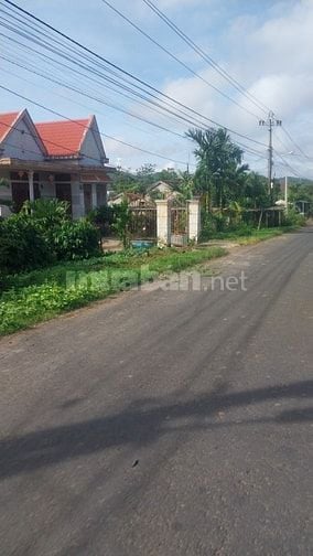 Bán đất vườn 1000m2 Ban Mê Thuột 215 triệu 