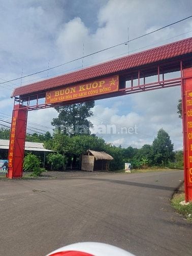 Bán đất vườn 1000m2 Ban Mê Thuột 215 triệu 