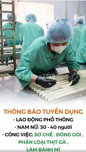 CÔNG NHÂN PHỤ LÀM BÁNH MÌ - THU NHẬP HẤP DẪN 