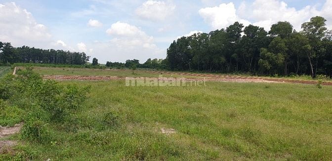 Bán Lô 1350m² Tại KCN Phú Hội - Nhơn Trạch Giá 2.9 Tỷ
