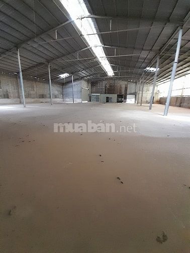 Cho thuê nhà xưởng bình dương 80 triệu/1800 m2