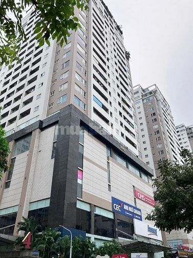 Bán căn hộ Chung cư Hapulico Complex số 1 Nguyễn Huy Tưởng 3N 2WC