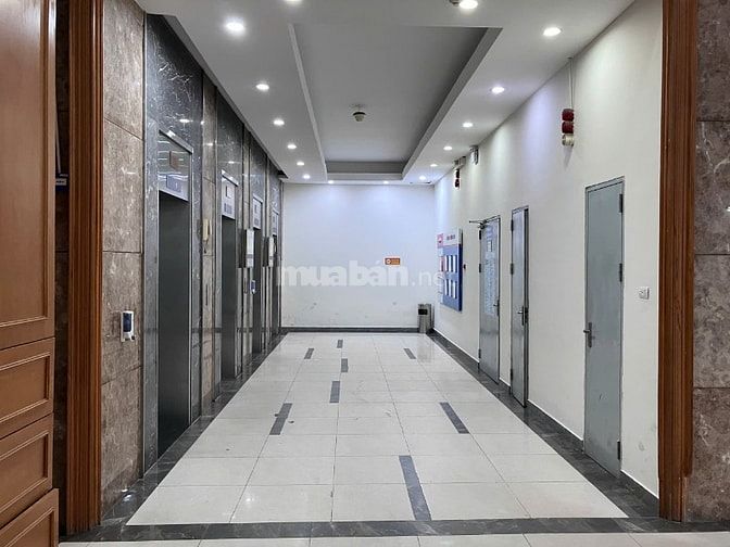 Bán căn hộ Chung cư Hapulico Complex số 1 Nguyễn Huy Tưởng 3N 2WC