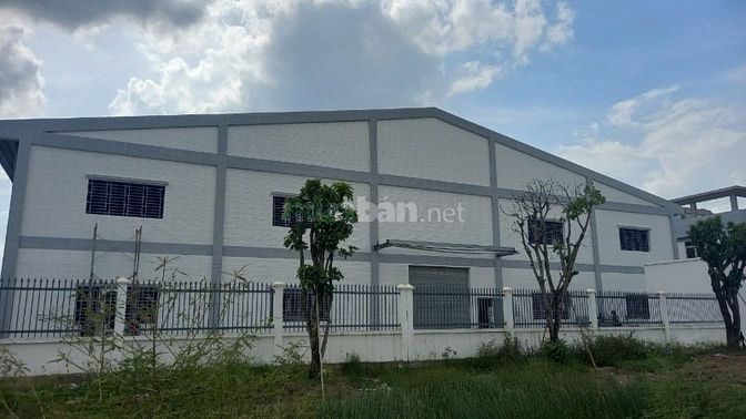 Bán xưởng tại Củ Chi – Tổng diện tích gần:  6.000m2 , giá bán : 55 tỷ 