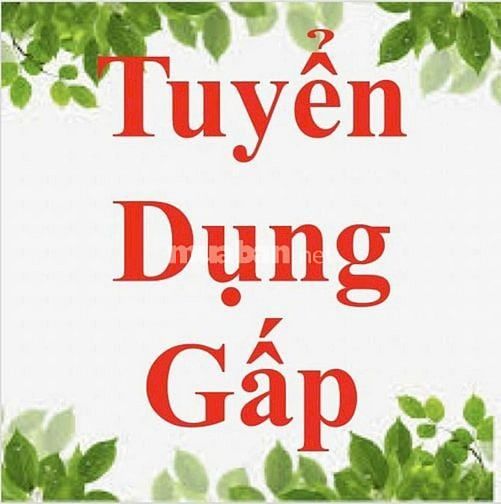 Tuyển gấp 4 nam nữ sắp xếp hàng hóa 