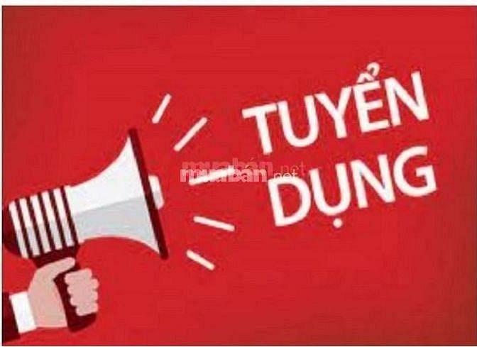 Tuyển lái xe B2 chạy tháng cố định đưa đón nhân viên làm tại Hà Nội