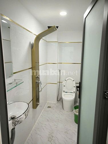 Bán nhà riêng (4x12m - 1T1L - 2PN - 2WC) HỒ VĂN LONG, TÂN TẠO, Bình Tâ