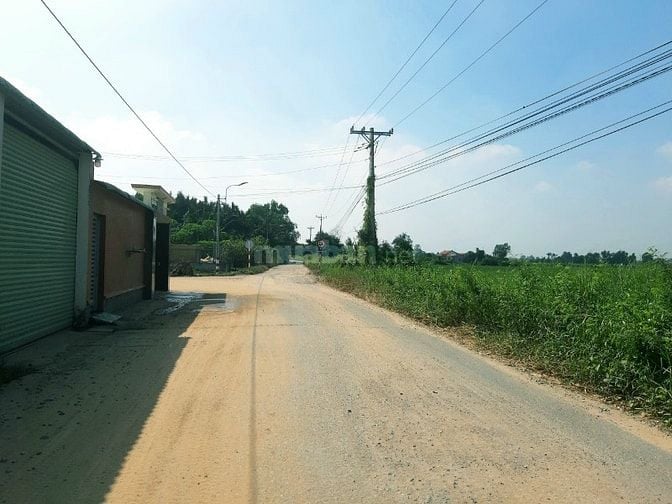 Đất MT đường đê Trương Long, container chạy, phù hợp làm kho, xưởng