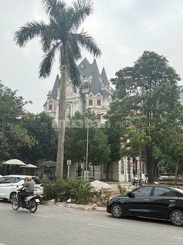 Bán đất đấu giá D9 Vườn Đào DT 176m, Mt 11m nhìn trực diện vườn hoa