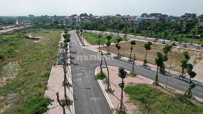 Bán Đất đấu giá ĐG06, Ngọc Mỹ, Quốc Oai, Hà Nội 